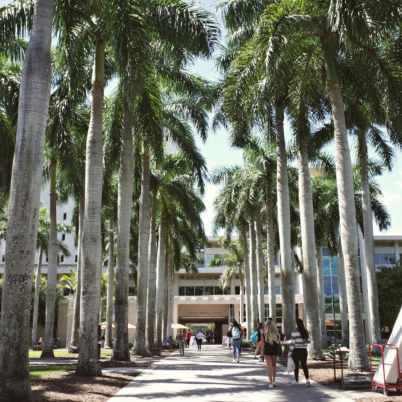 115大學繁星推薦放榜！繁星還是申請入學？差在哪一次看懂