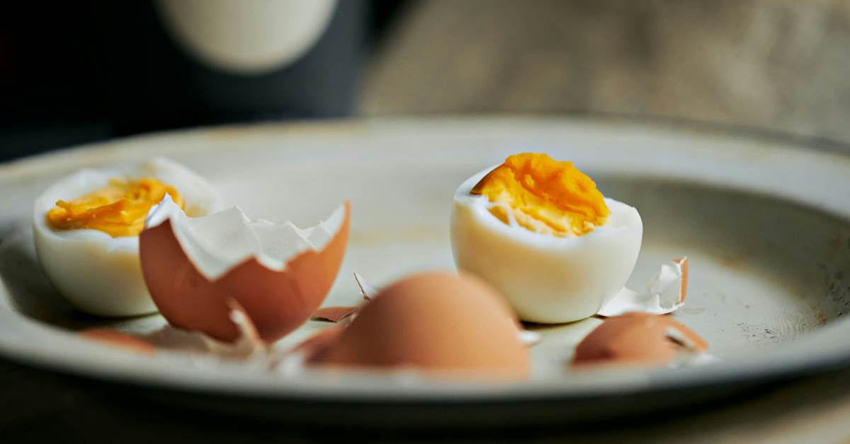 FotoJet - 2026-03-19T093525.069