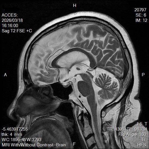 654312643_1360055419486190_7875330885779979826_n