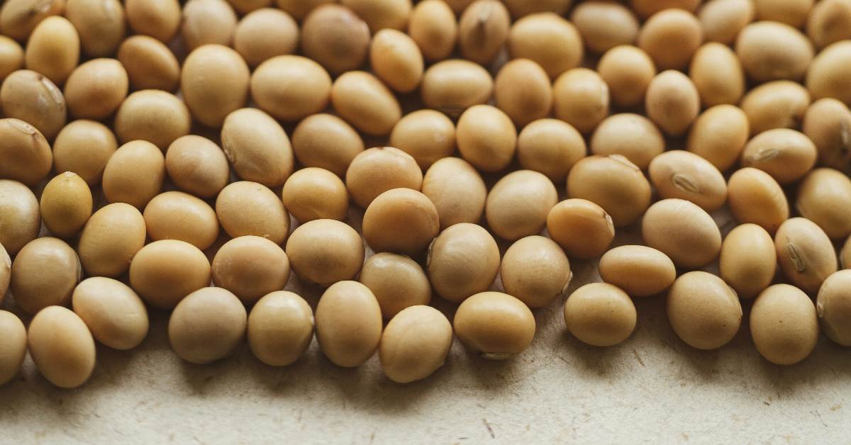 FotoJet - 2026-03-23T102203.609