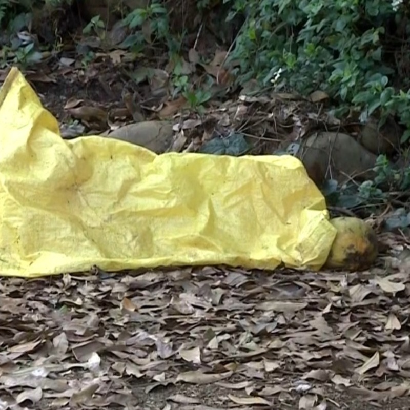 彰化百果山虐殺案！死者遭「削臉挖眼」法醫揭3動機、民俗專家：冤魂難報復