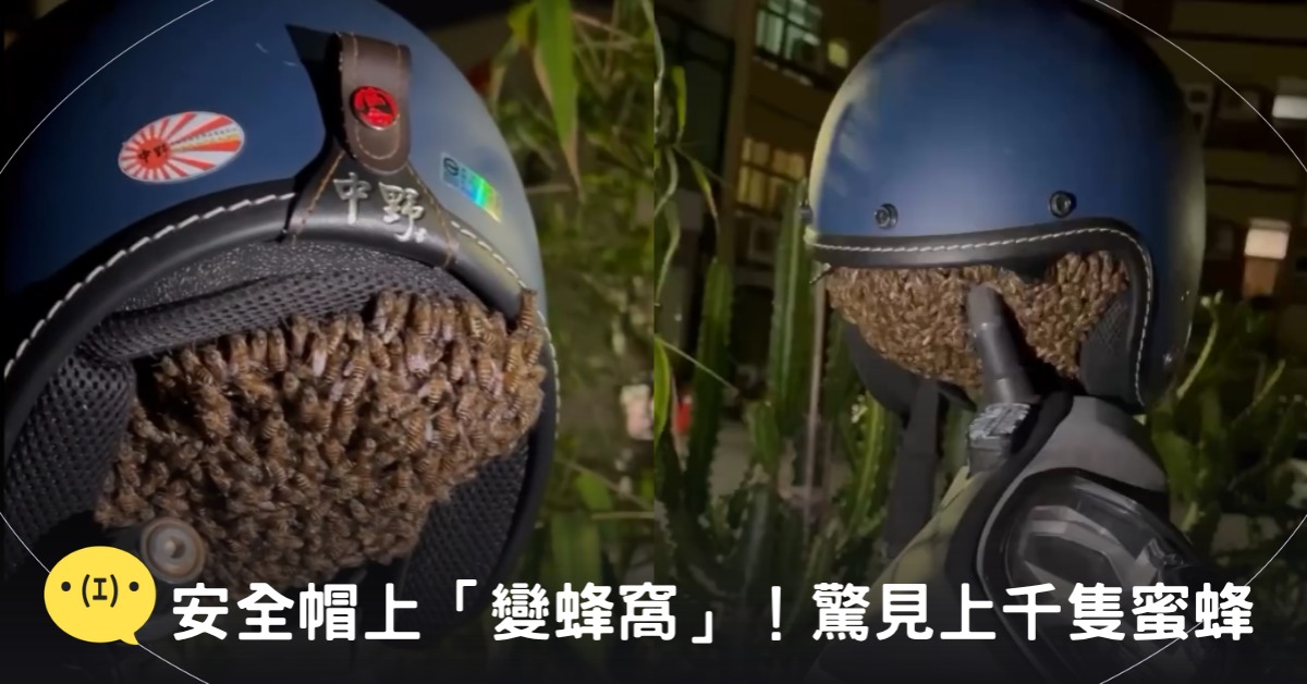 封面圖片來源：threads＠qian_1212_