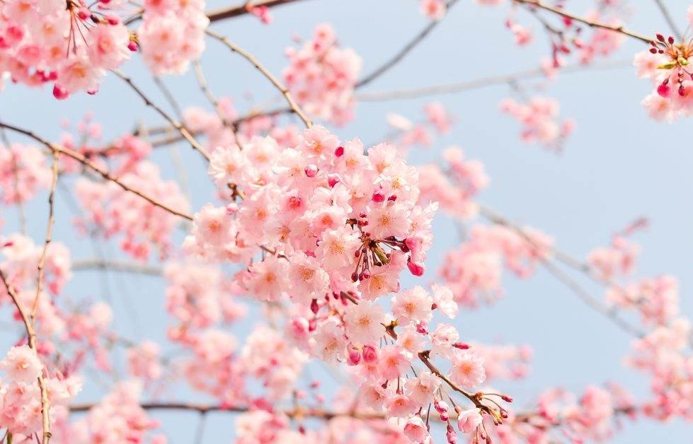 造咖 文章首圖模板 的複本 (4)