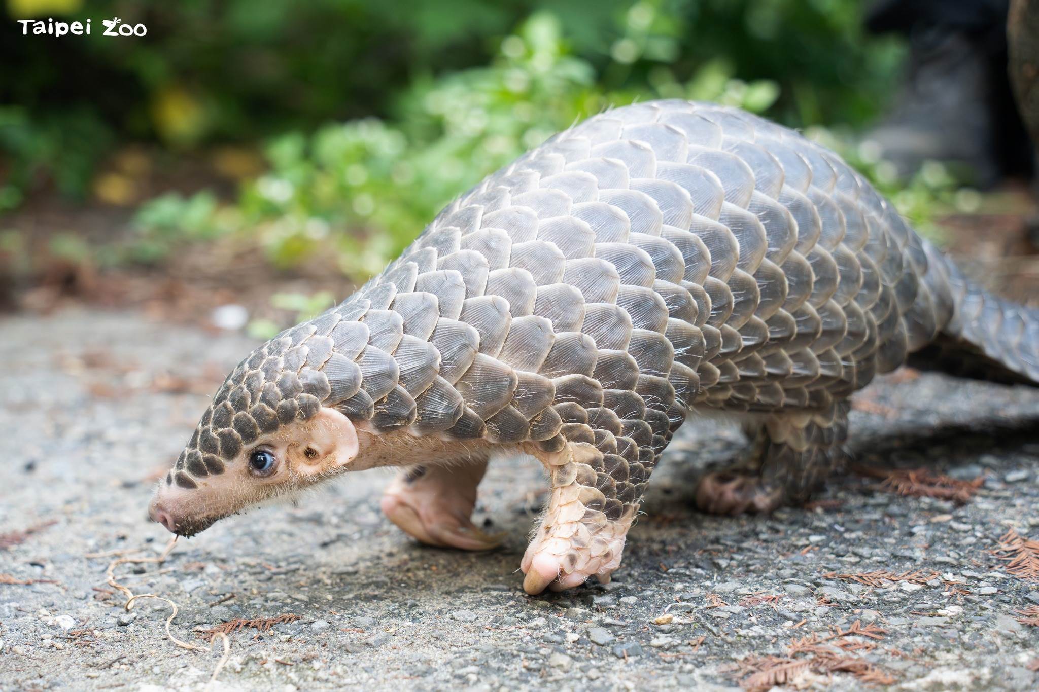 628346682_1311643594326577_5283698208463917329_n