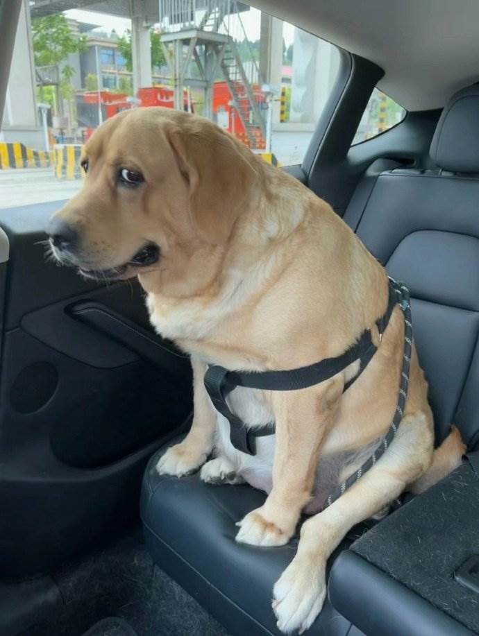 d0f8f22agy1hoej8f4rxjj20u013vwjo