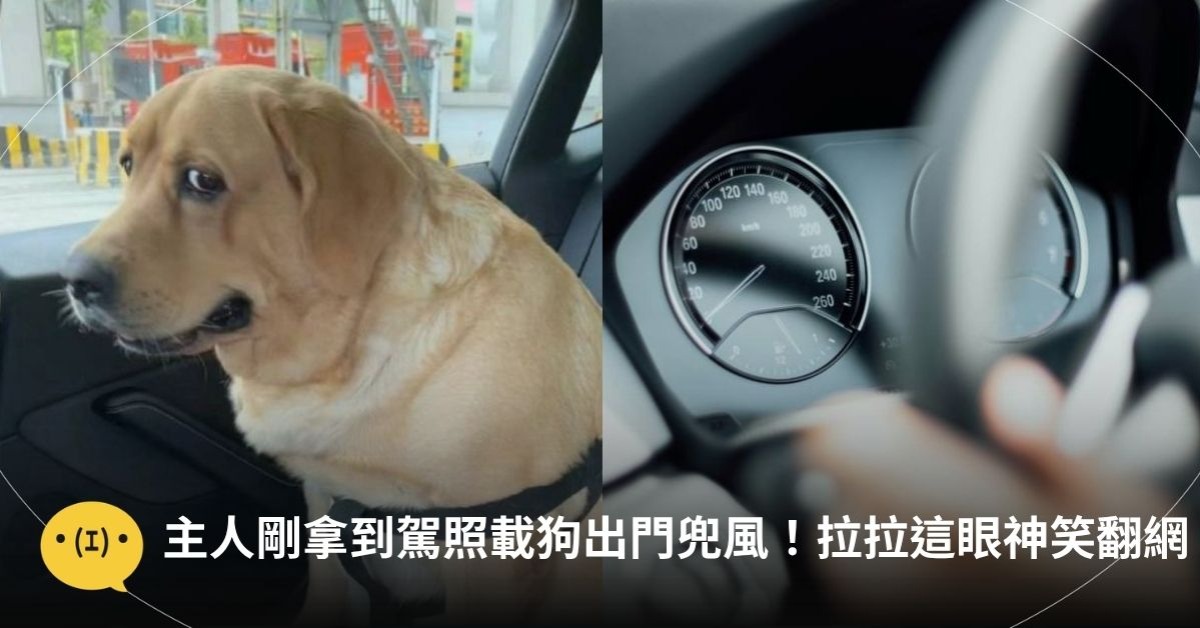 圖片來源：微博／unsplash