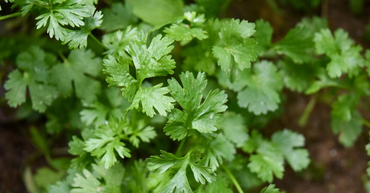 FotoJet - 2026-03-27T082937.494