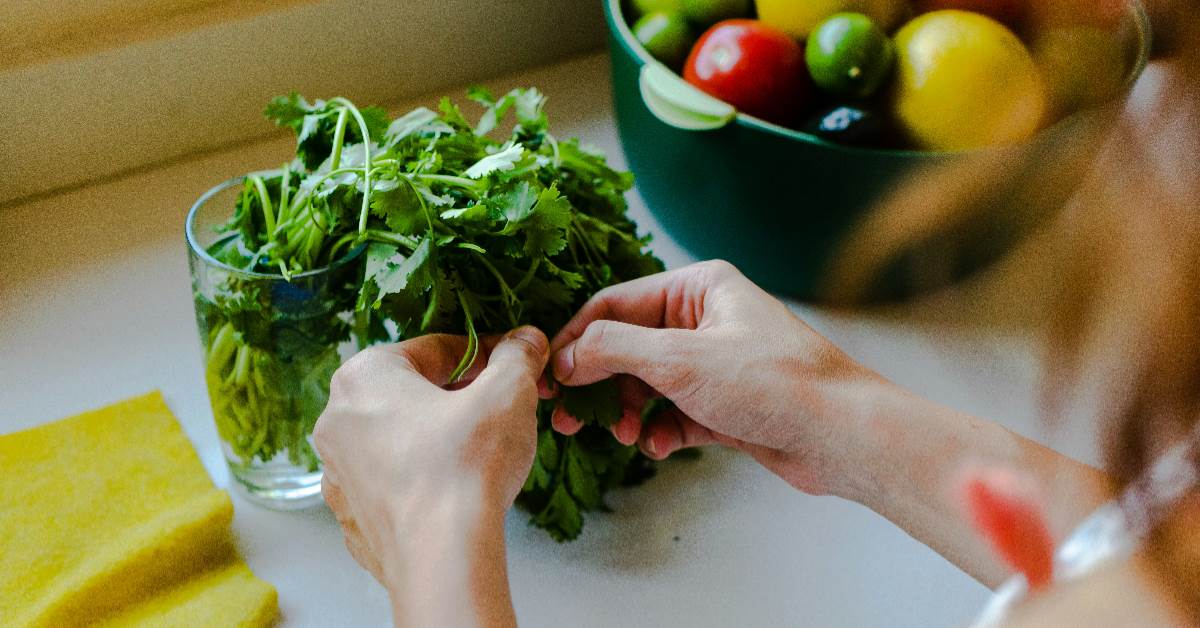 FotoJet - 2026-03-27T083000.260