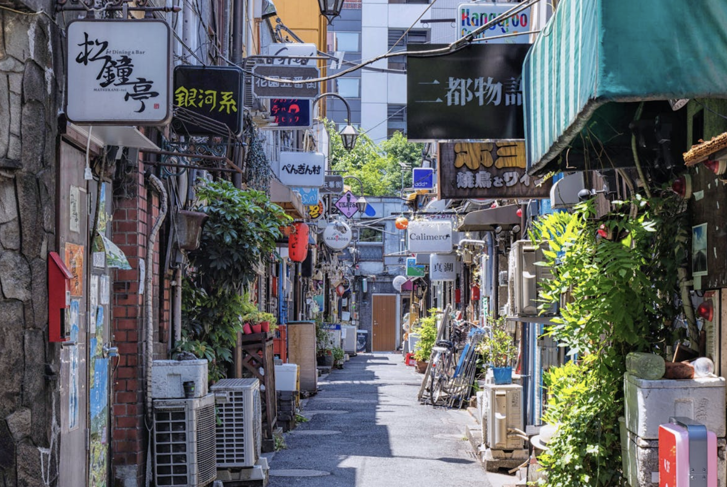 截圖 2026-03-30 下午2.52.47