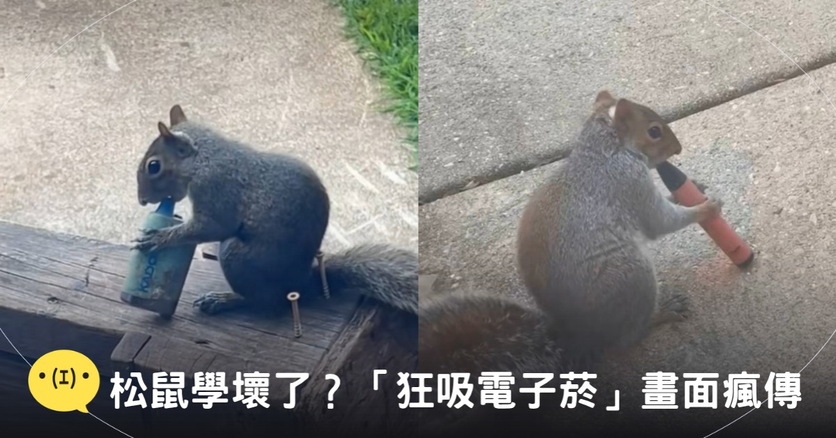 封面圖片來源：TikTok@carly.dane、@tts_tiktok22