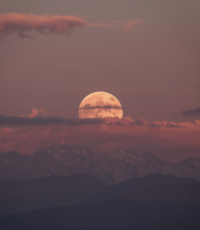 截圖 2026-04-01 晚上10.01.31