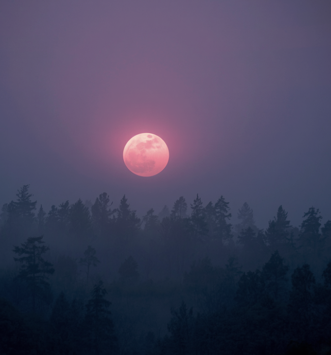 截圖 2026-04-01 晚上9.58.49