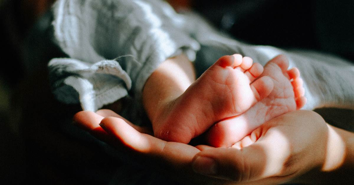 FotoJet - 2026-04-02T095557.831