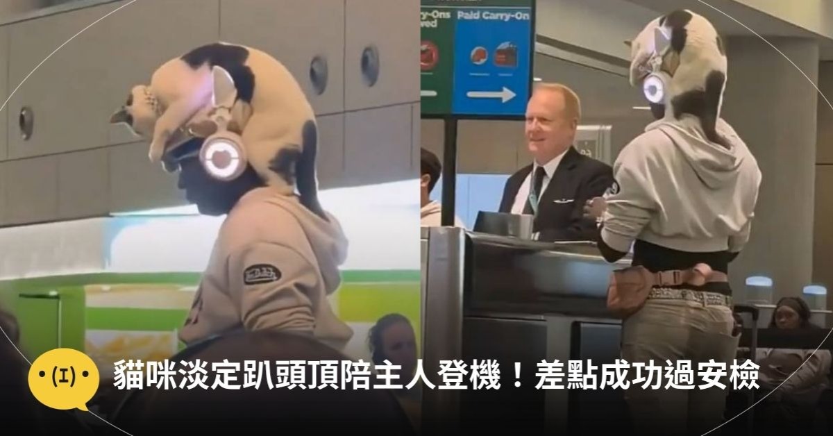 圖片來源：X@Richie Rich