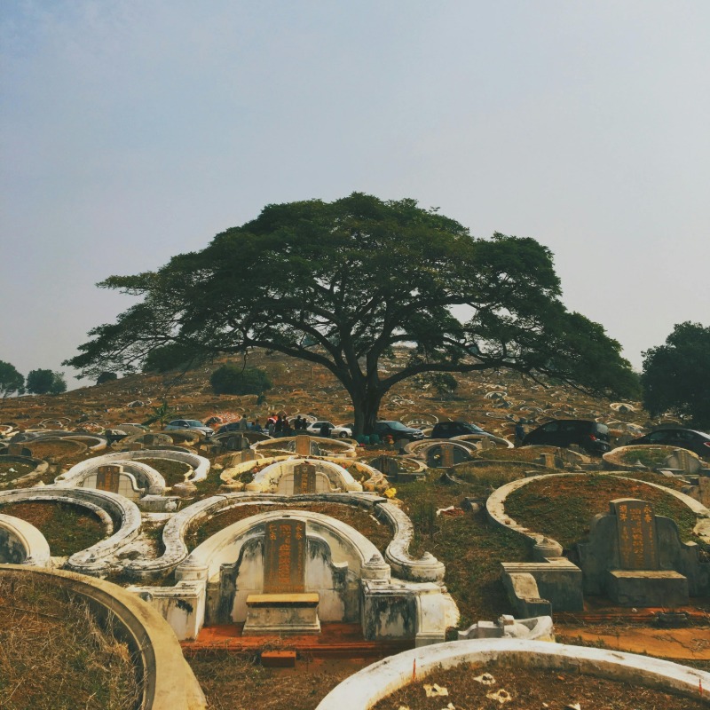 媽媽的墳墓不見了！兄妹掃墓驚見「原址竟埋陌生人」氣炸怒告