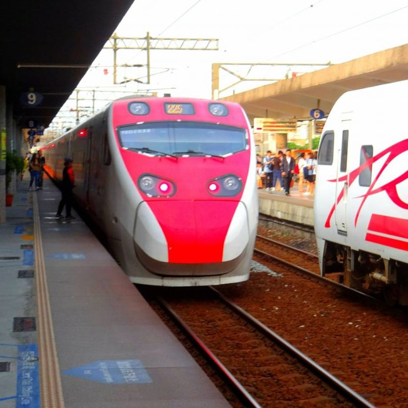 搭台鐵注意！座位出現「吸血蝨子」爬身！台鐵回應