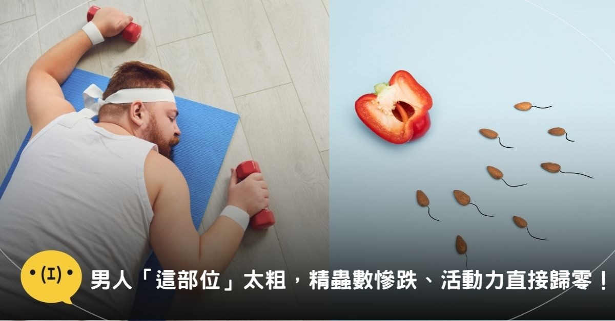 圖片來源：canva