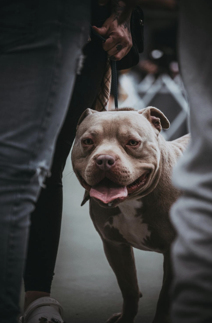 截圖 2026-04-15 下午3.25.59