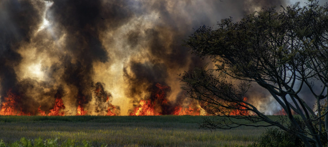 截圖 2026-04-15 晚上8.54.38