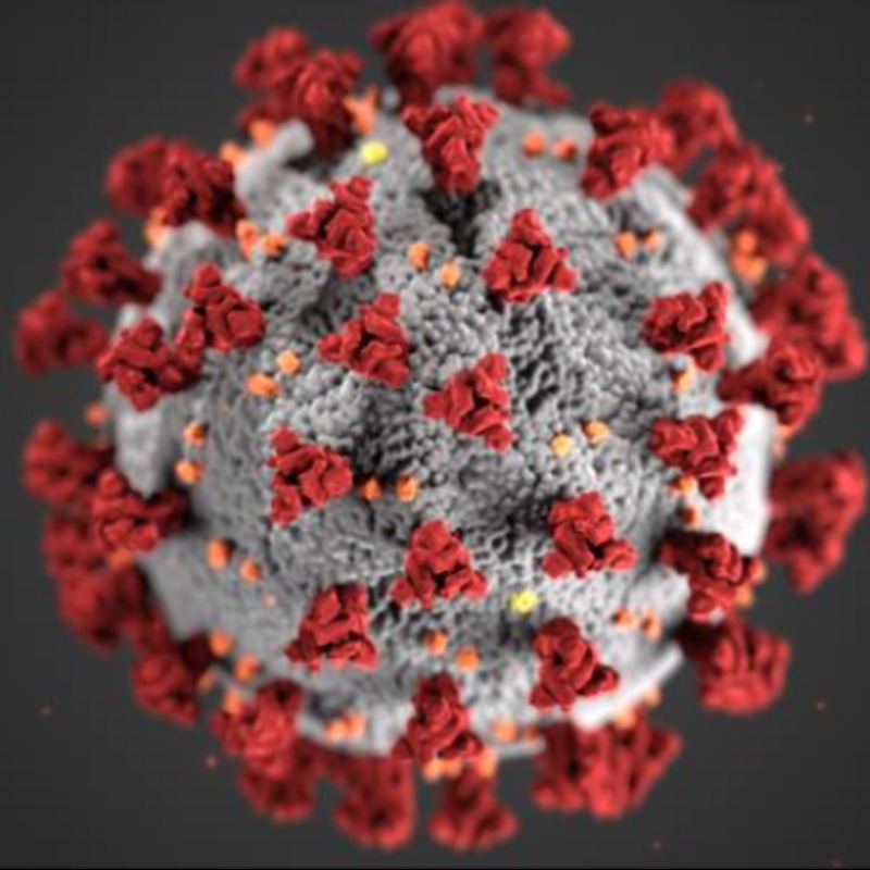 新冠又有新變種！「蟬病毒」現身多國，專家警告：兒童恐較易感染