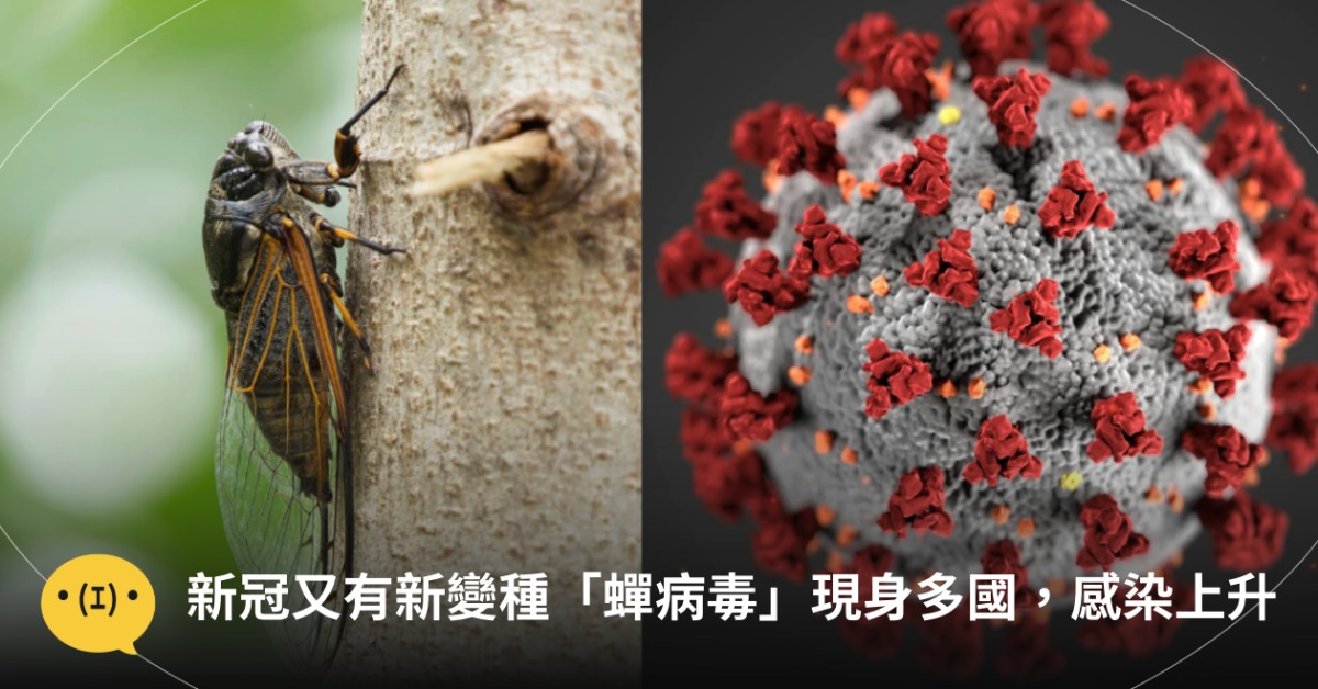 圖片來源：pexels（示意圖）