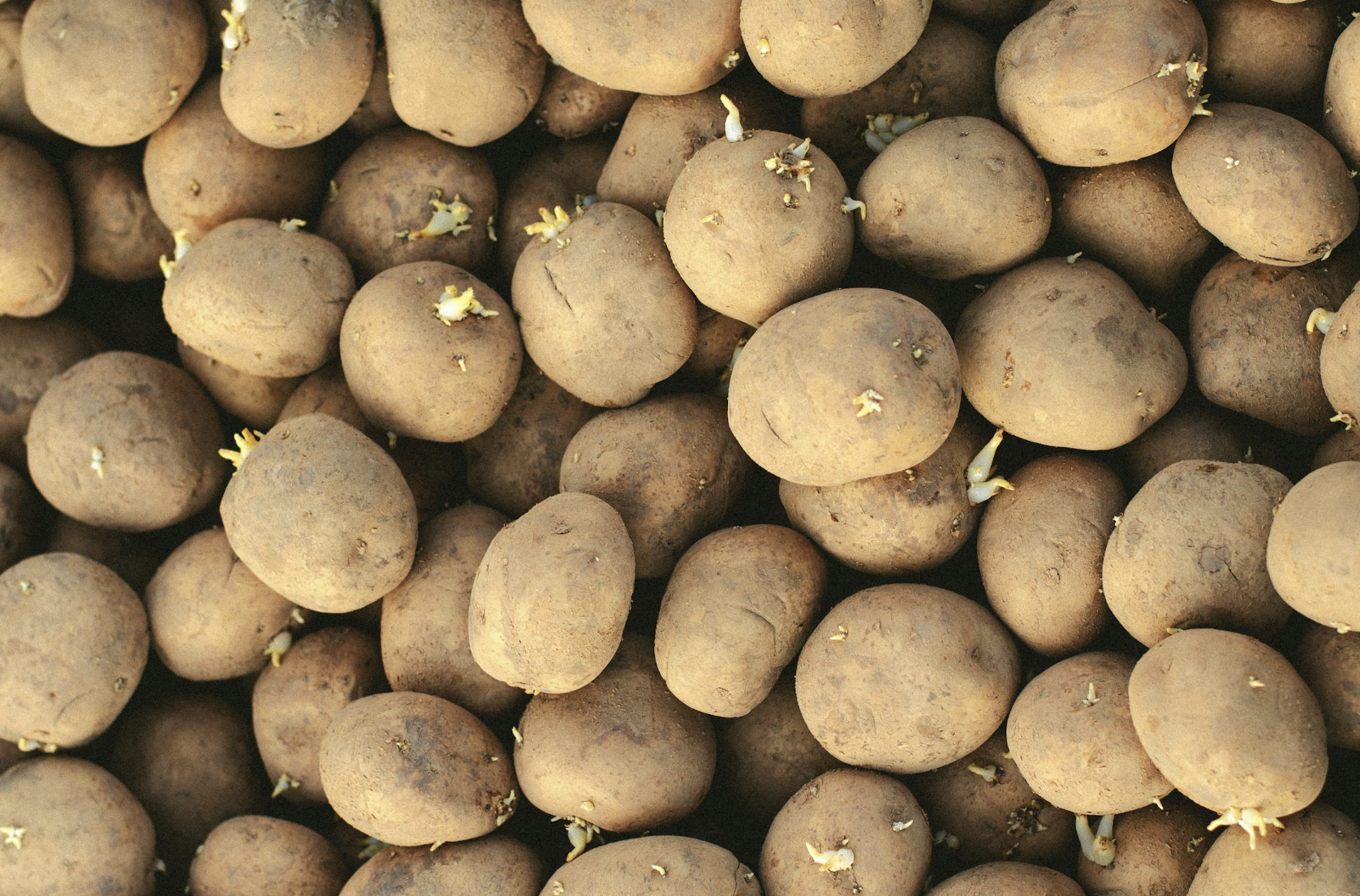 截圖 2026-04-18 凌晨3.08.45