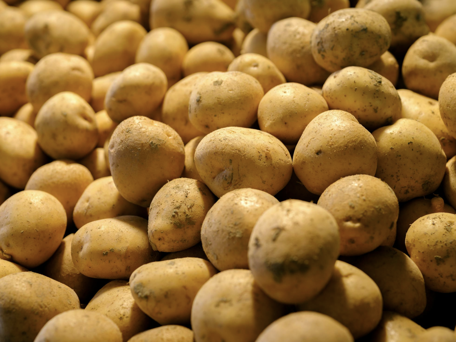 截圖 2026-04-18 凌晨3.08.58