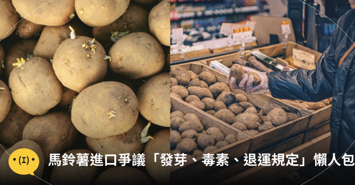 「發芽馬鈴薯不用退運？」台美ART協定引爆食安討論，10大疑問一次看！圖片來源：pexels（示意圖）