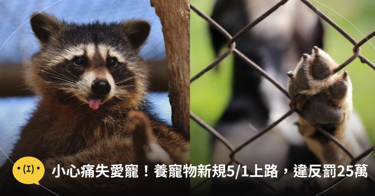 主圖來源：pexels