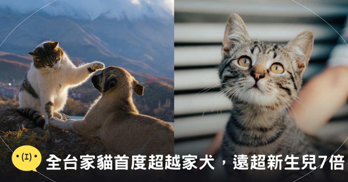 封面圖片來源：pexels（示意圖）