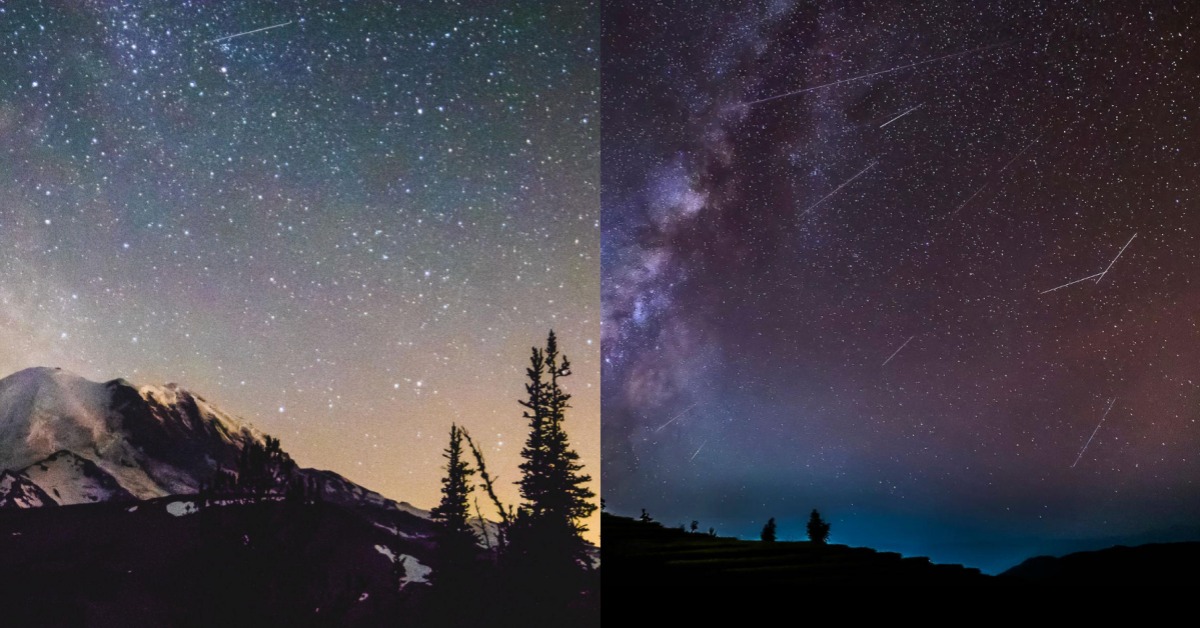 圖片來源：unsplash