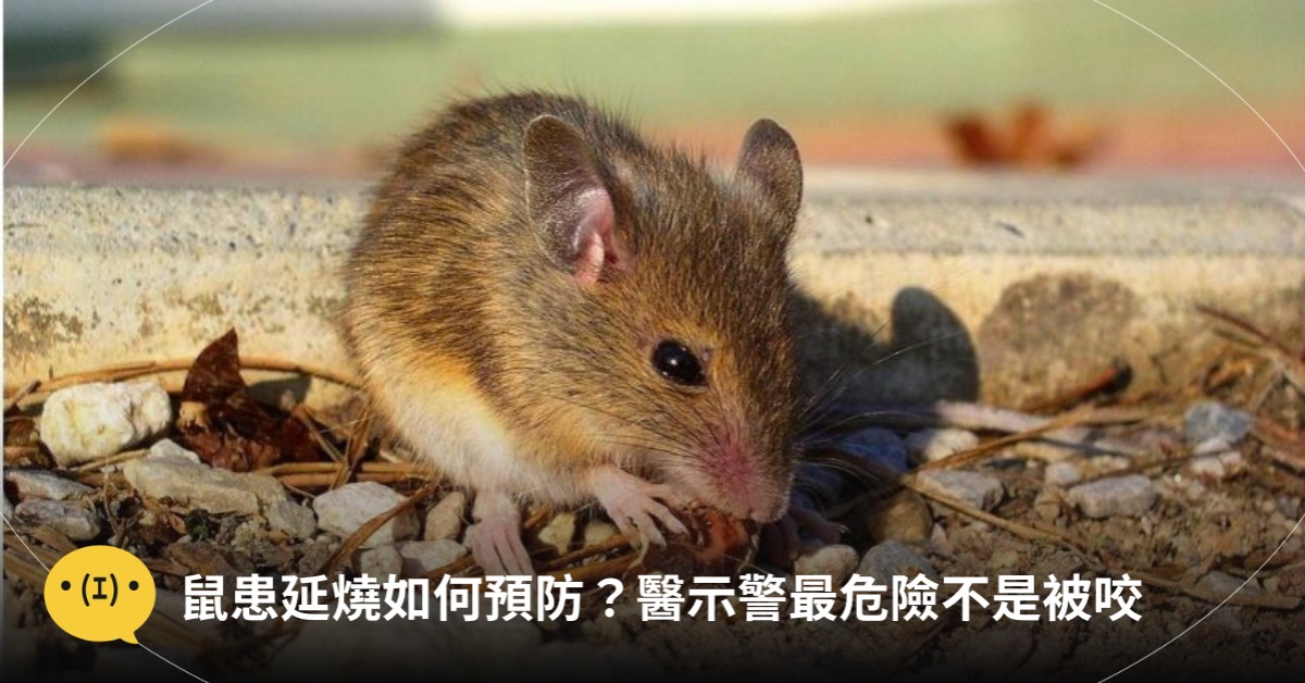 圖片來源：示意圖／pexels