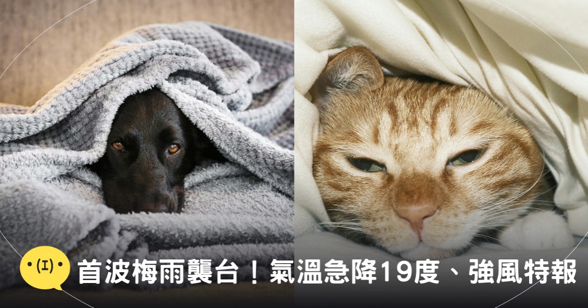 封面圖片來源：pexels（示意圖）