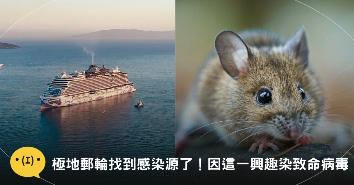 圖片來源：pexels