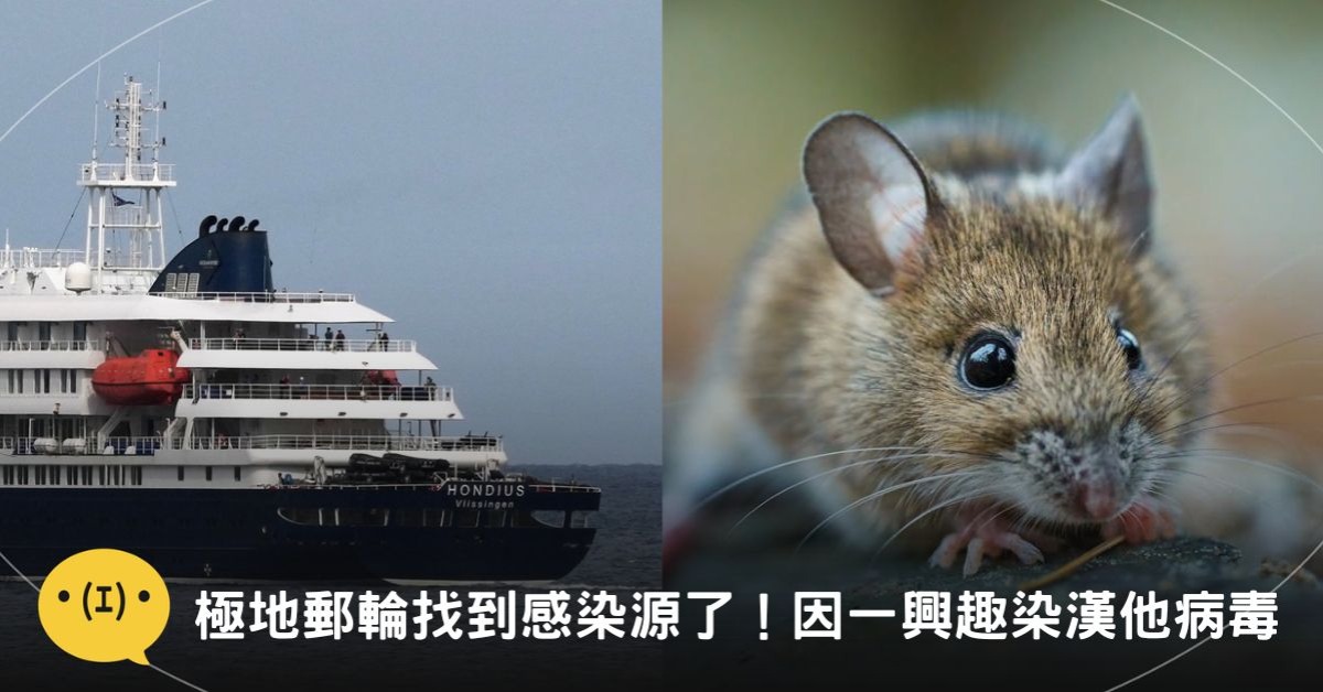 圖片來源：AP、Pexels