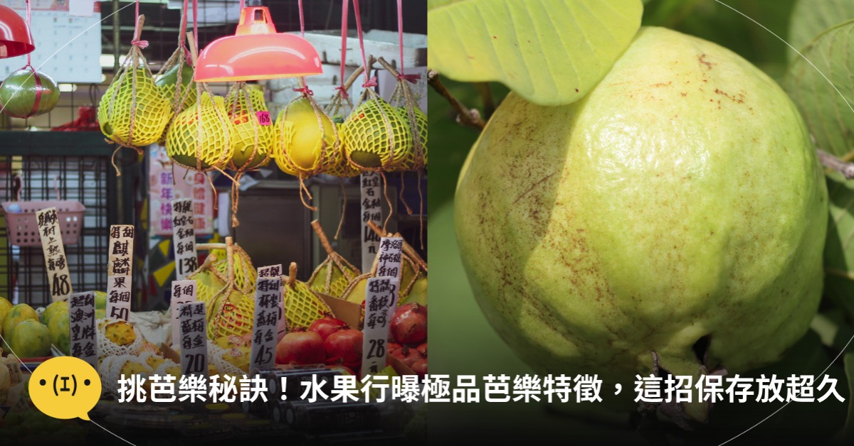 封面圖片來源 : pexels(示意圖)