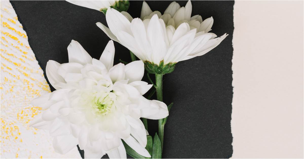 FotoJet - 2026-05-22T082444.256