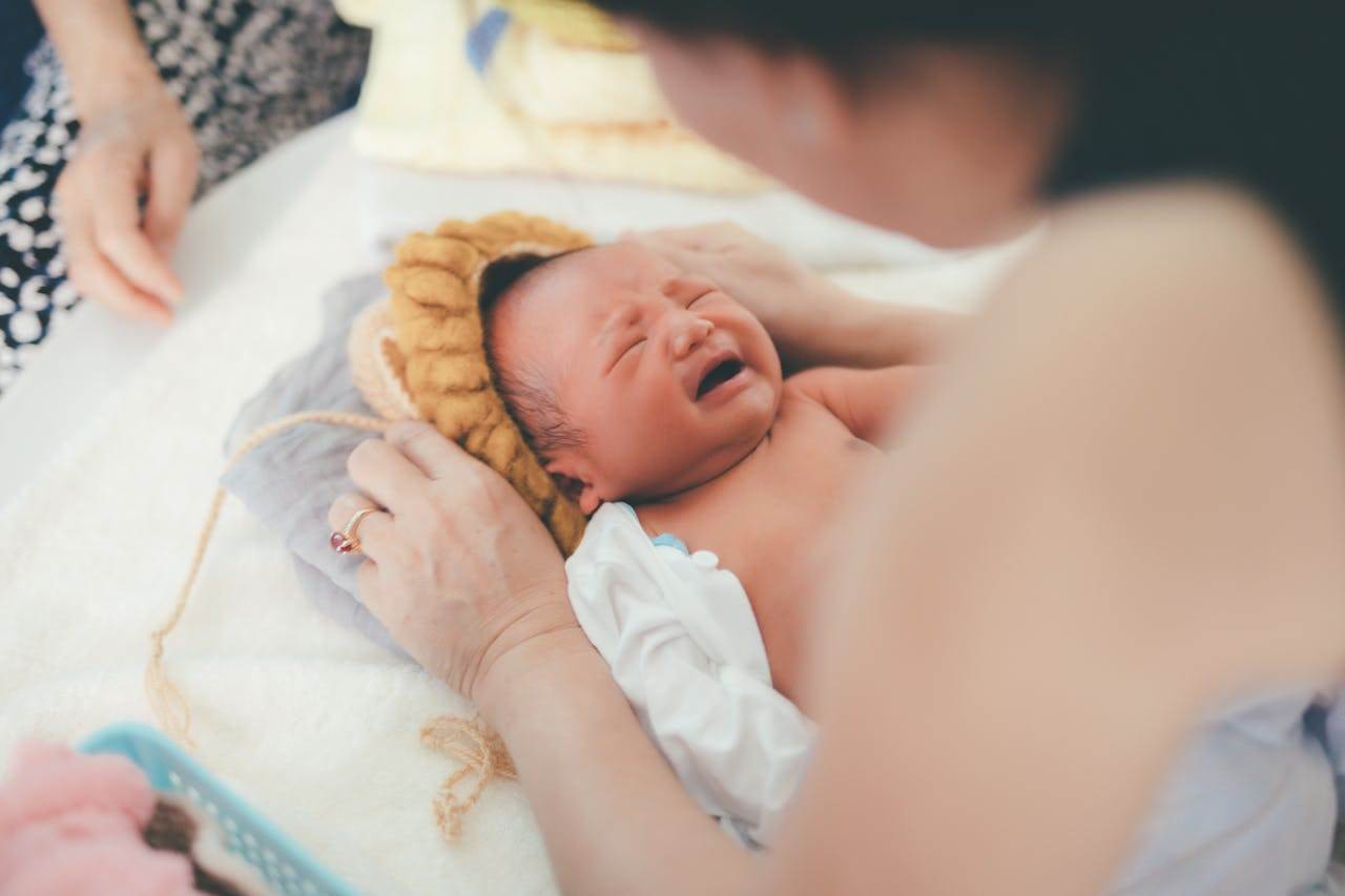 pexels-huynh-van-75710069-9300611