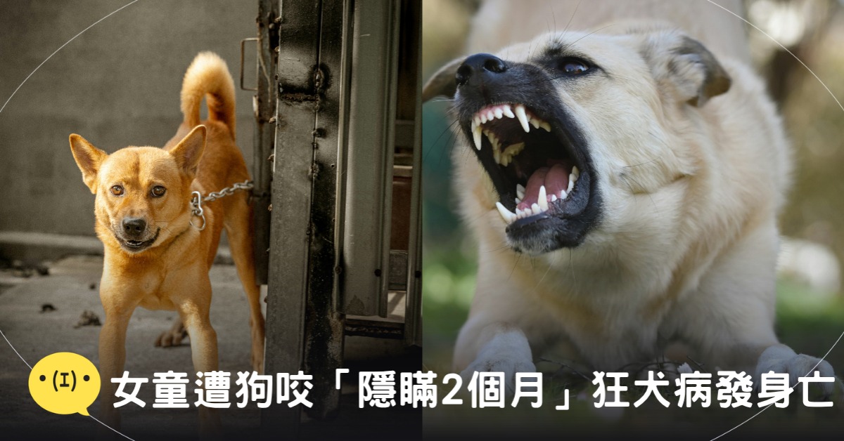 封面圖片來源：pexels（示意圖）