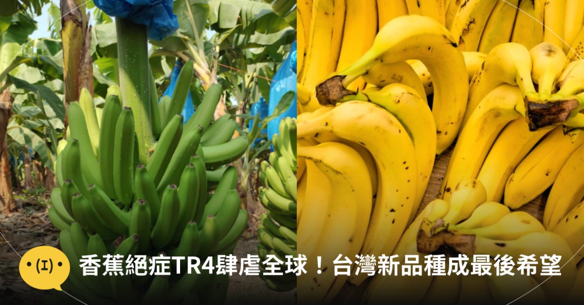 圖片來源:pexels(示意圖)