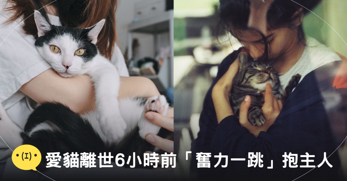 封面圖片來源：pexels（示意圖）