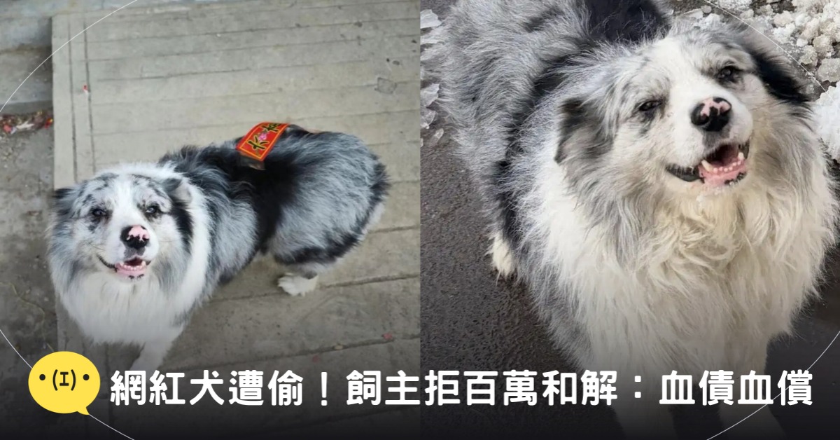 封面圖片來源：微博