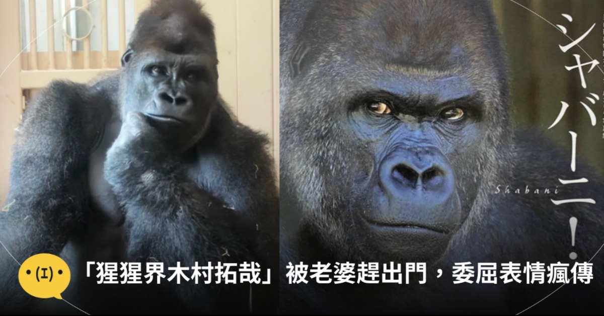 圖片來源：pexels