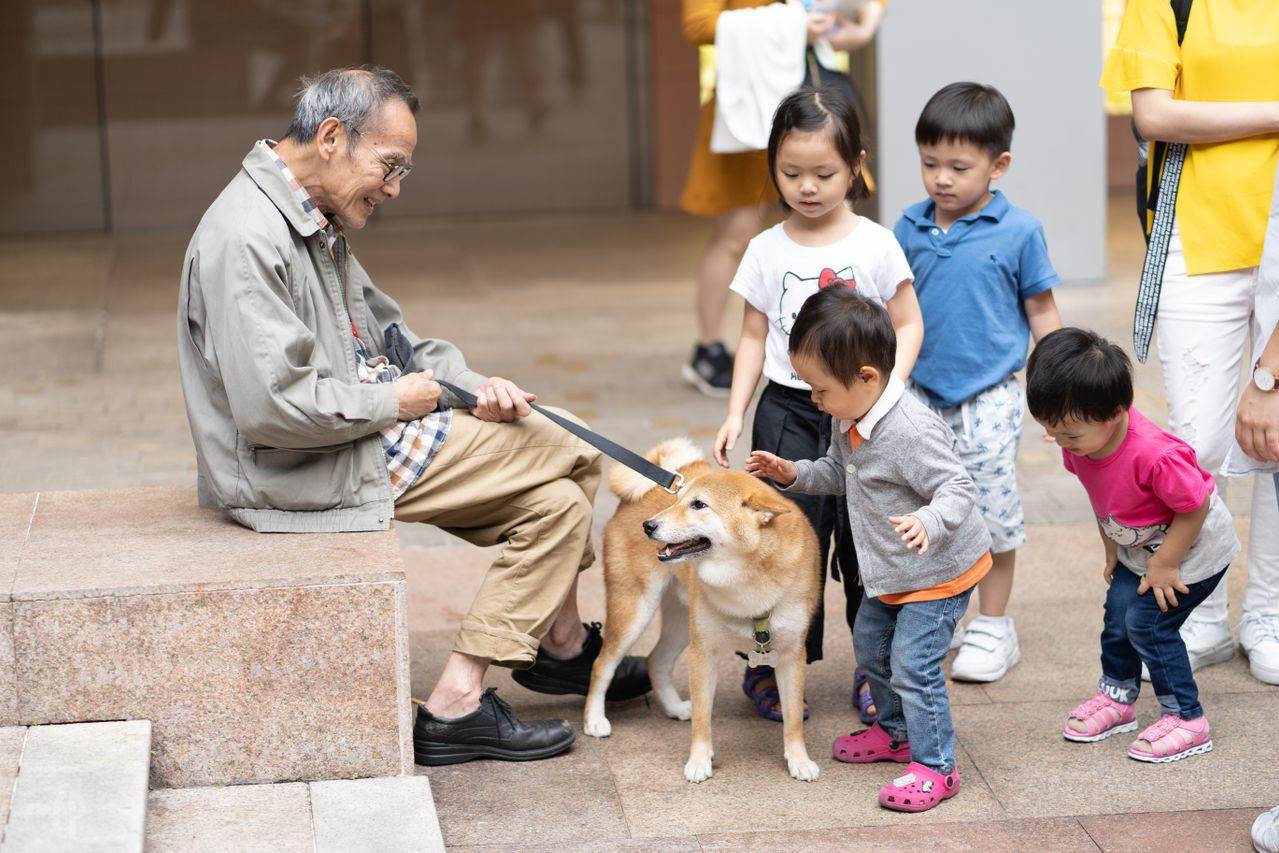 圖片來源：pexels