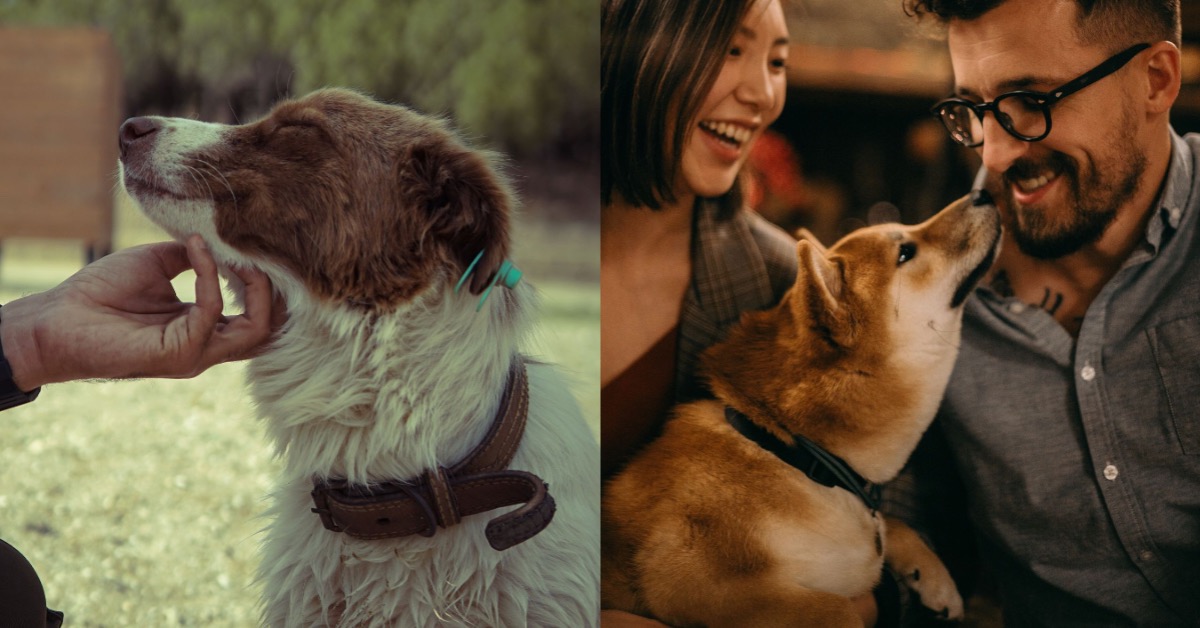 圖片來源：pexels（示意圖）