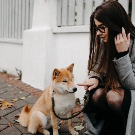 狗狗狂轉圈不一定是在玩?老年犬行為「4大徵兆」一定要注意!