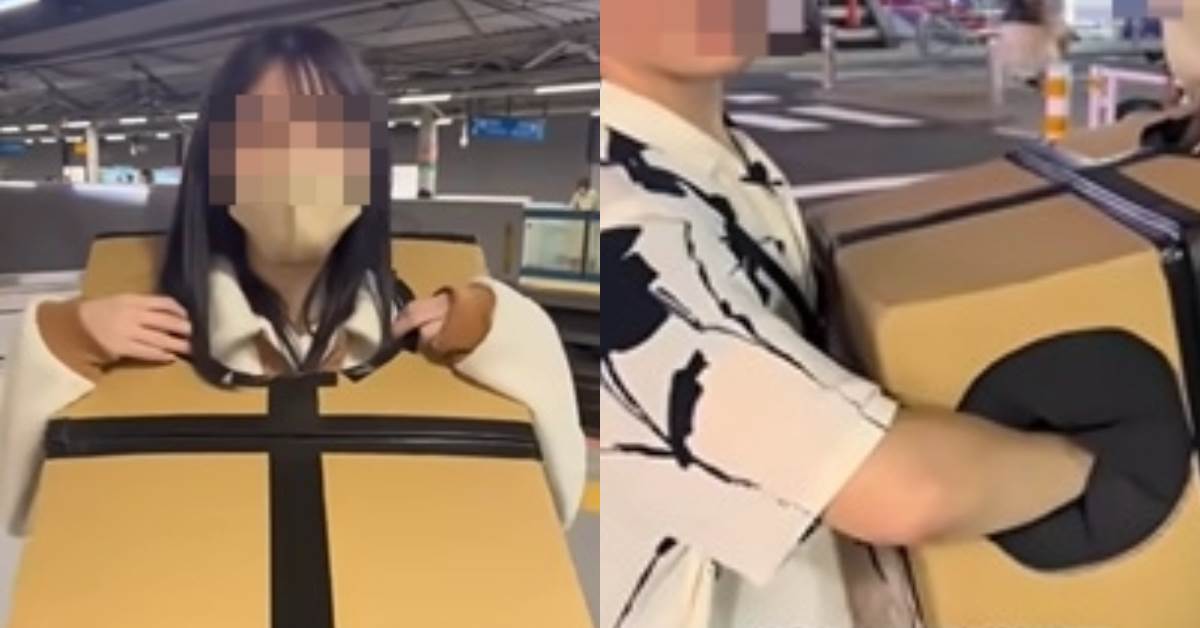 女生套紙箱任人摸，下場慘了
圖片來源：翻攝自bilibili
