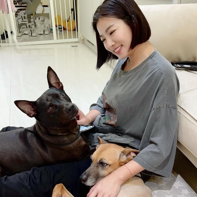 米可白獨眼愛犬護主心切！「曾狠咬男友頭皮」專家曝：命中不缺毛孩