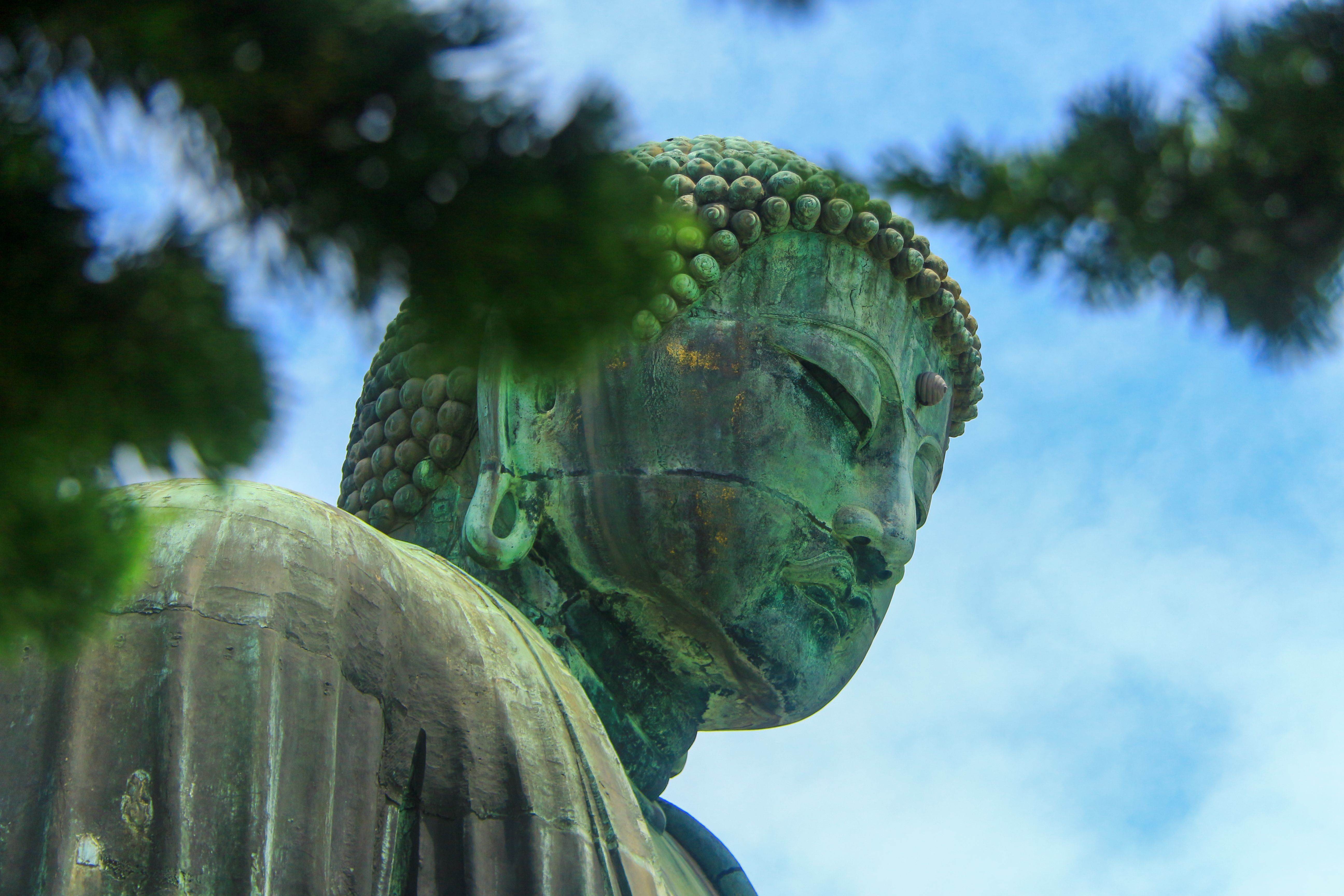 圖片來源：pexels