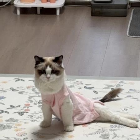 造咖